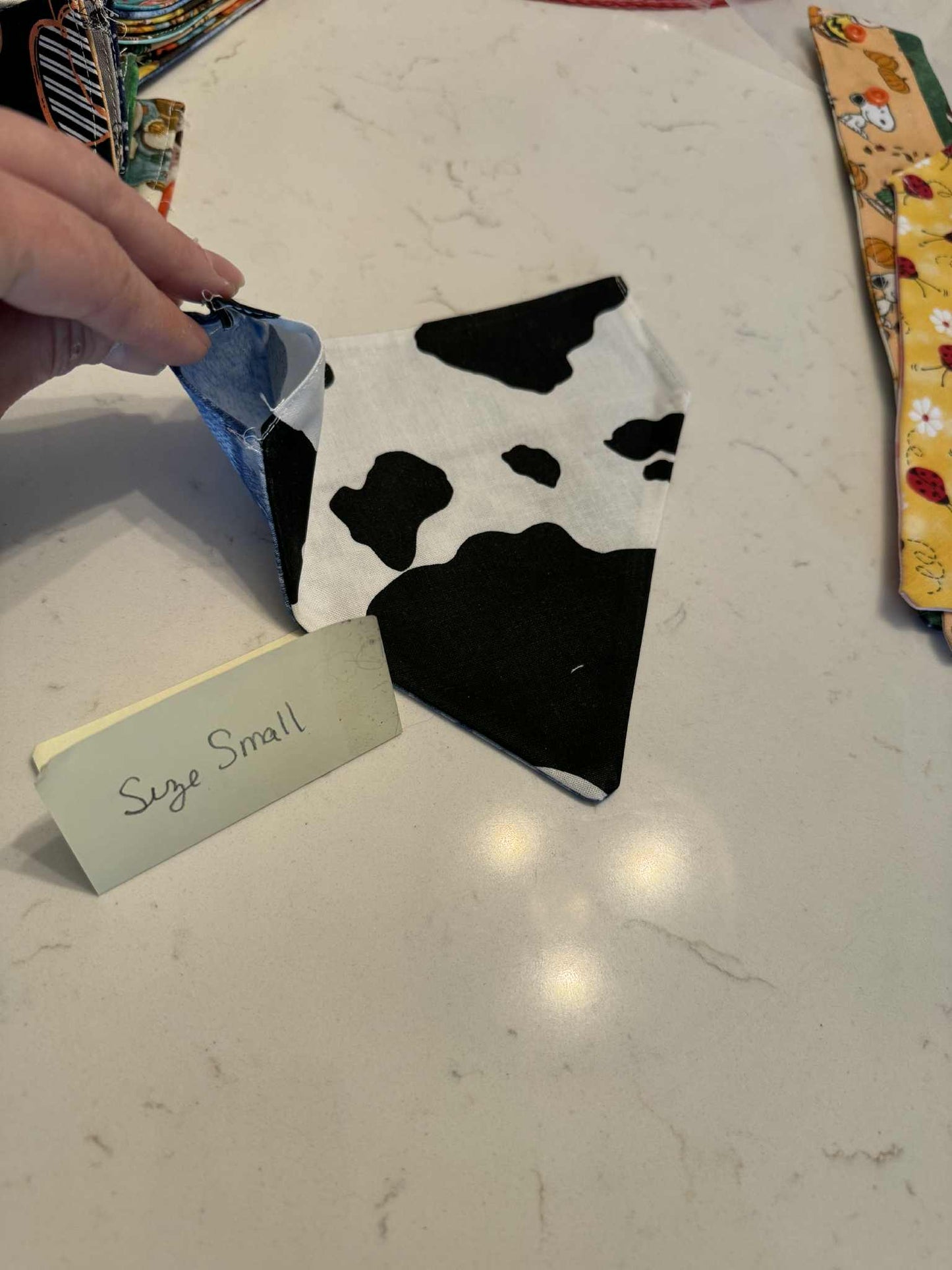 Cow and Denim over the collar