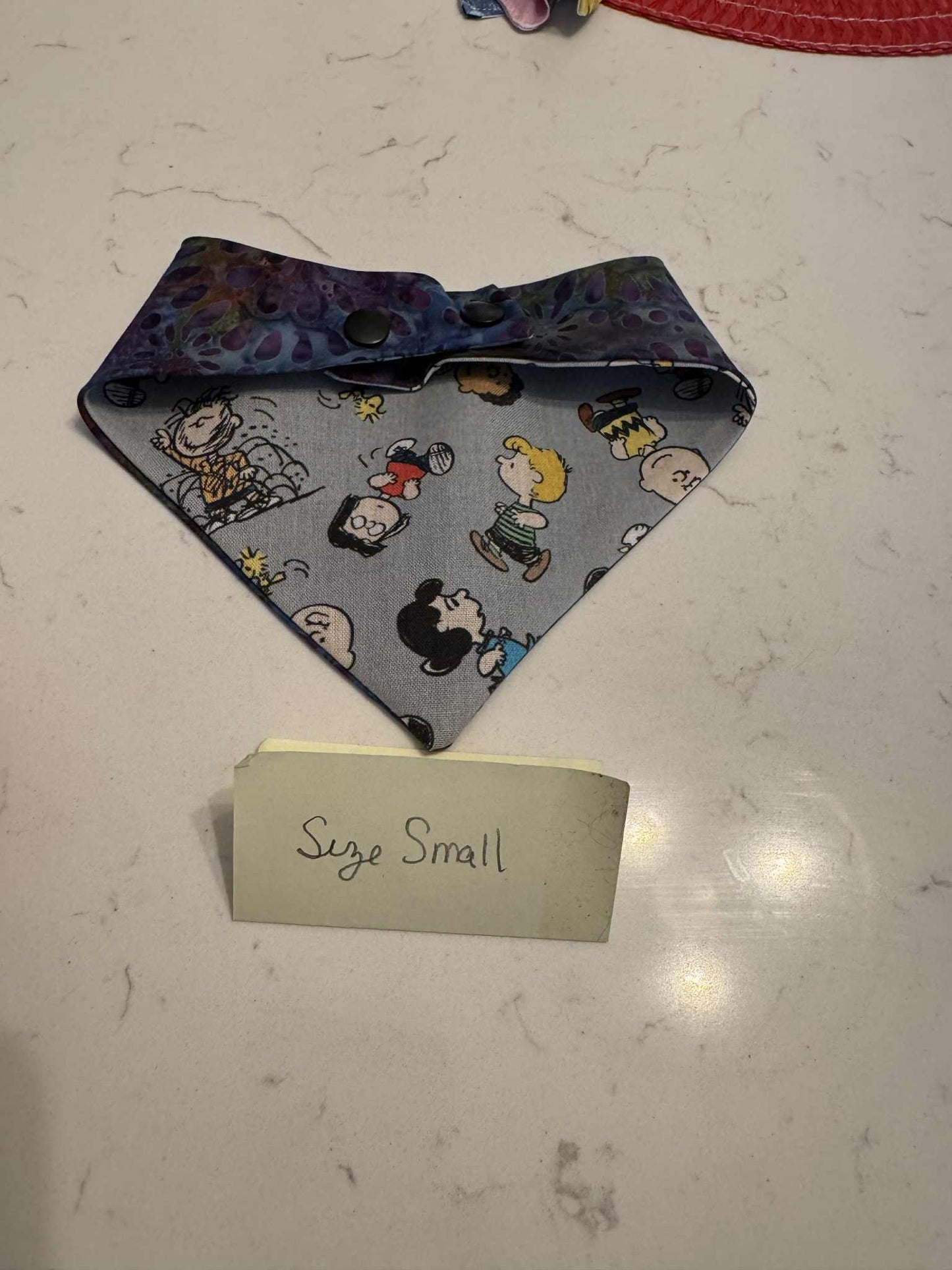 Charlie Brown and Purple with Snaps