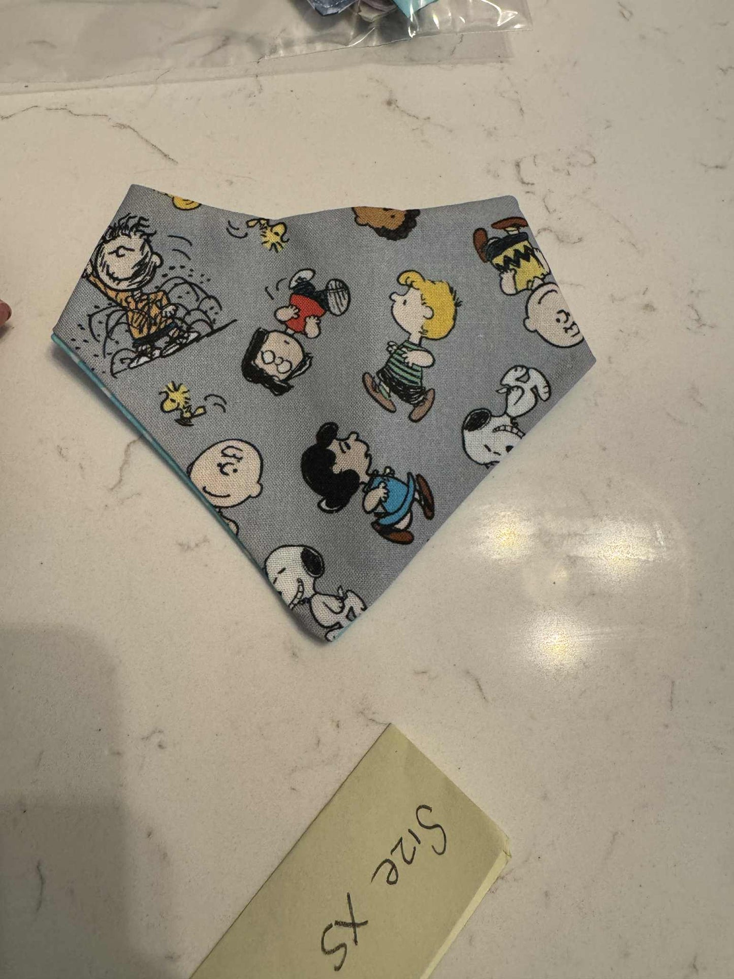 Charlie Brown and Blue Stars with Snaps