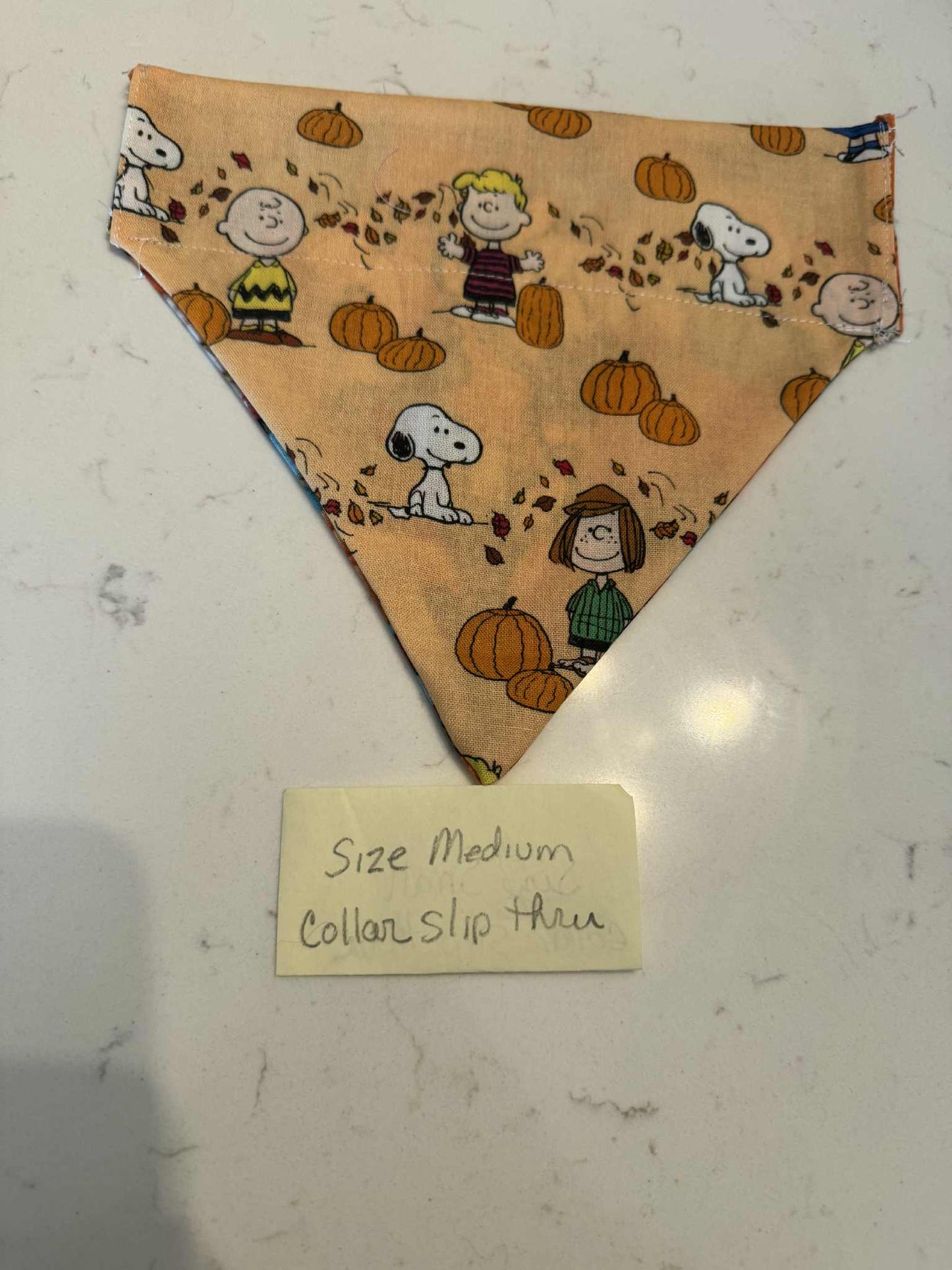 Charlie Brown and Pumpkin over the collar