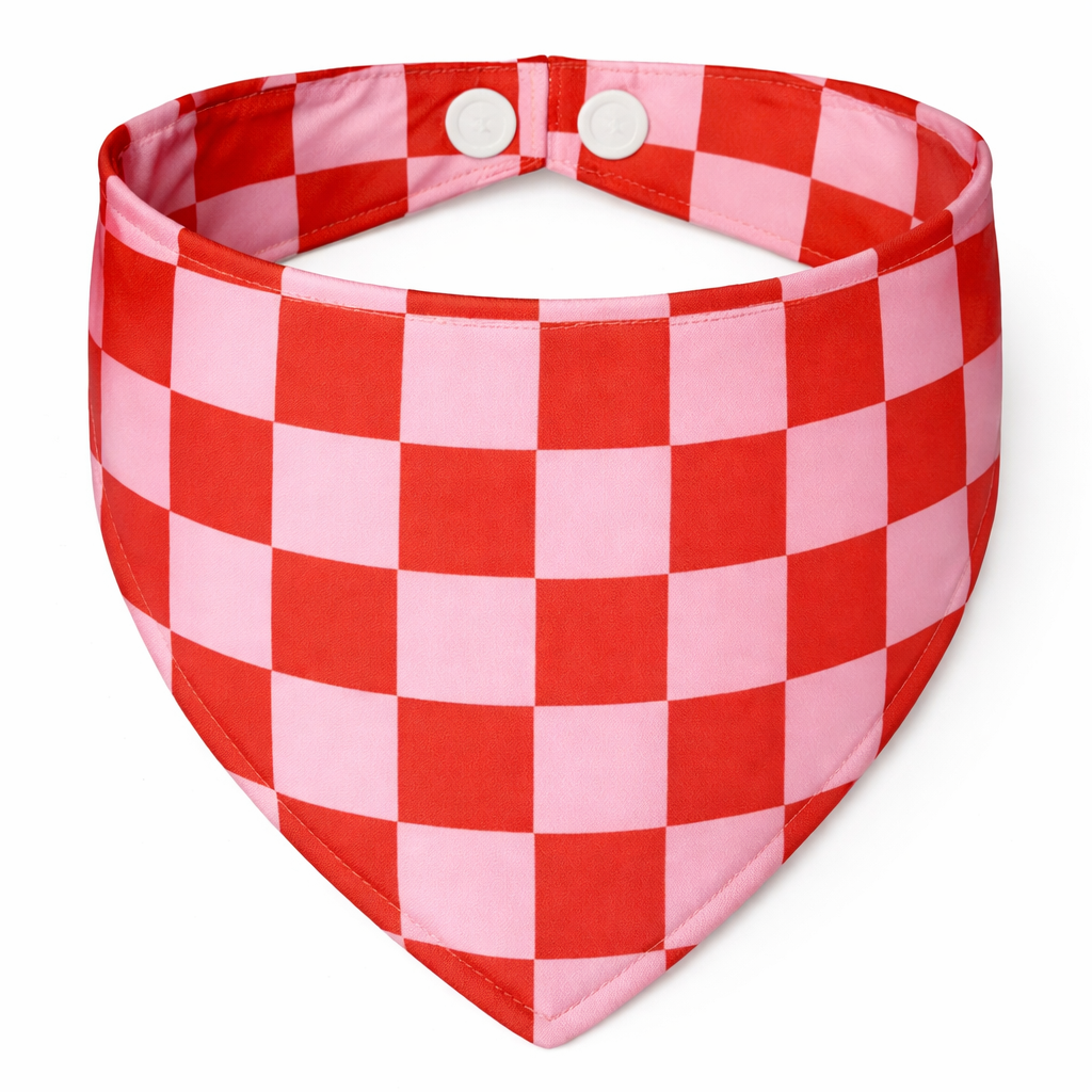 Valentines Day Bandana Preorder