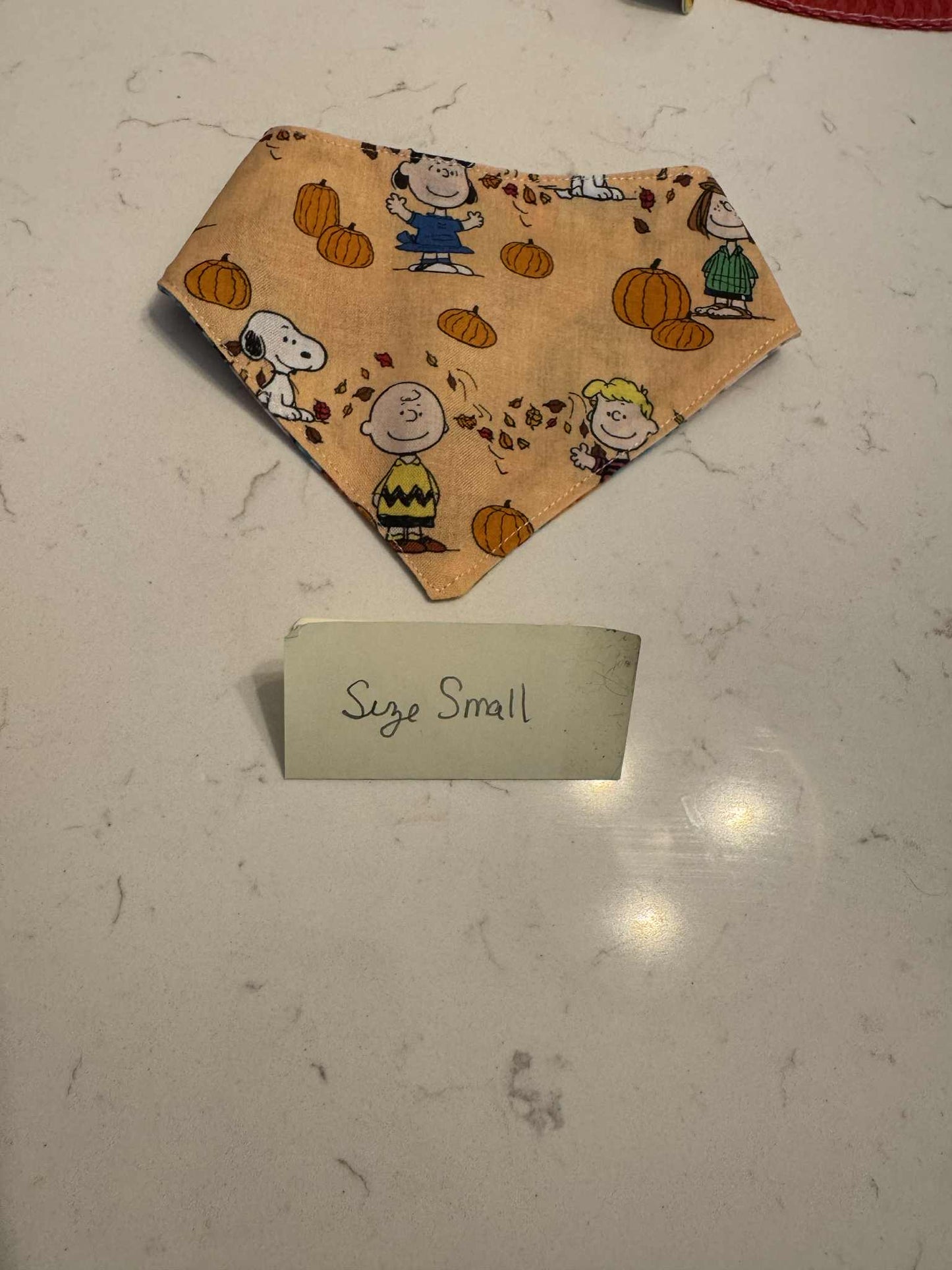 Charlie Brown and Pumpkin with Snaps