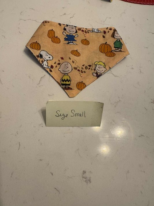 Charlie Brown and Pumpkin with Snaps