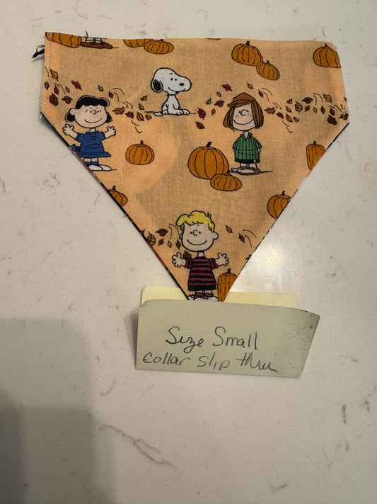 Charlie Brown and Plaid Pumpkin over the collar