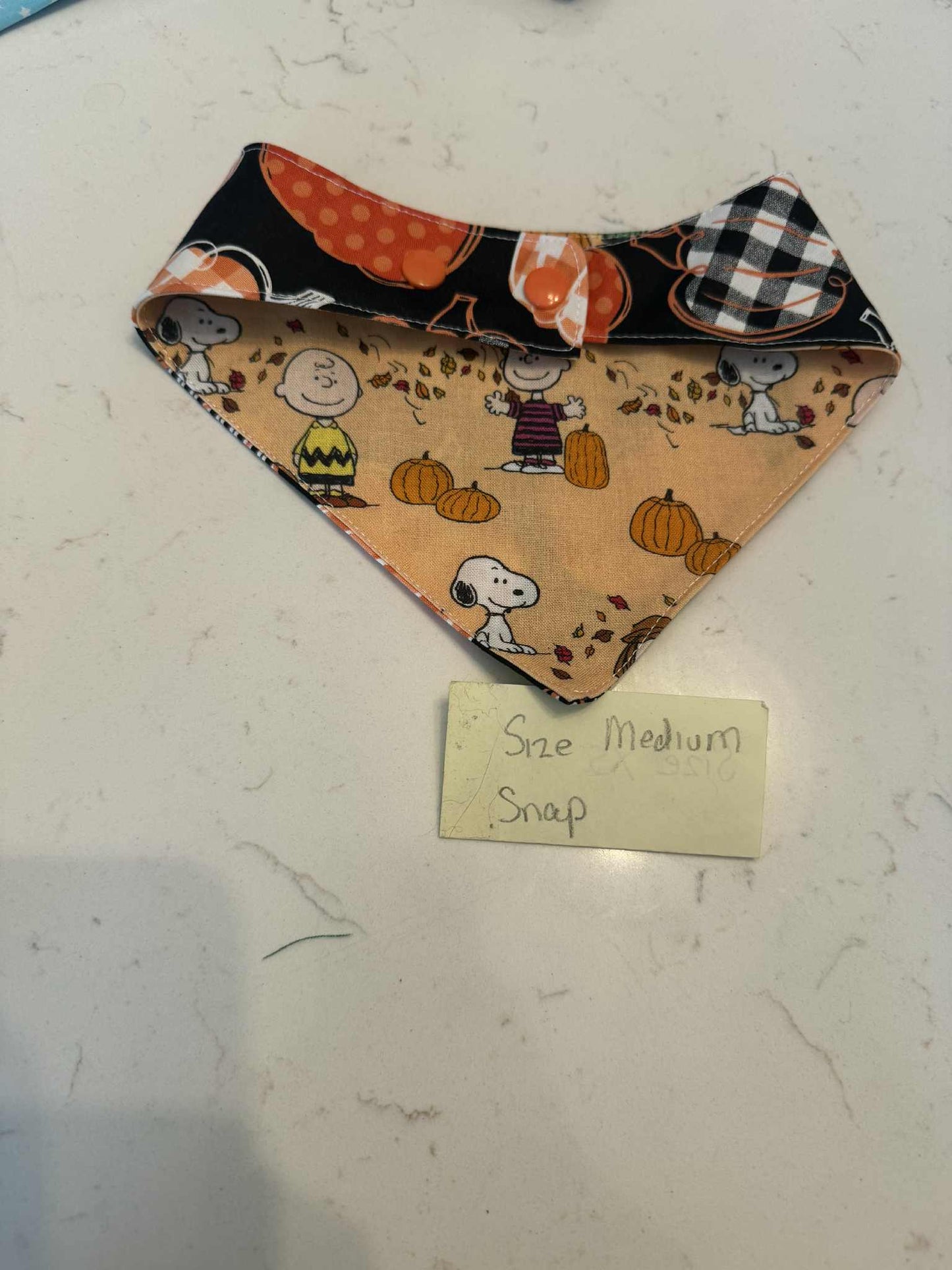 Pumpkin and Charlie Brown with Snaps