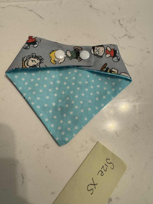 Charlie Brown and Blue Stars with Snaps