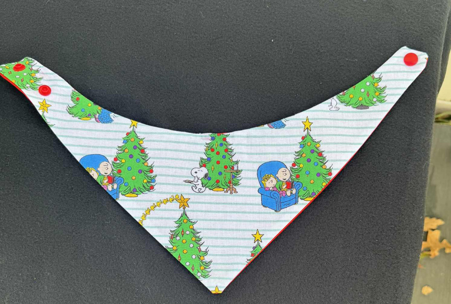 Charlie Brown with Snaps