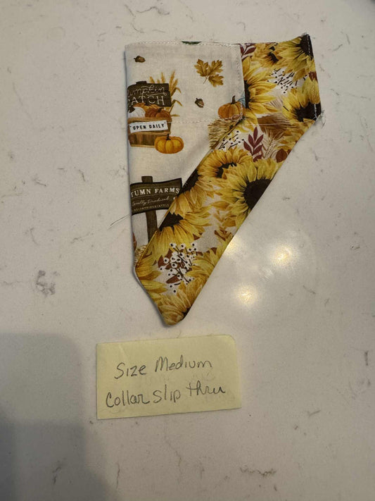Scarecrow and Sunflower over the collar