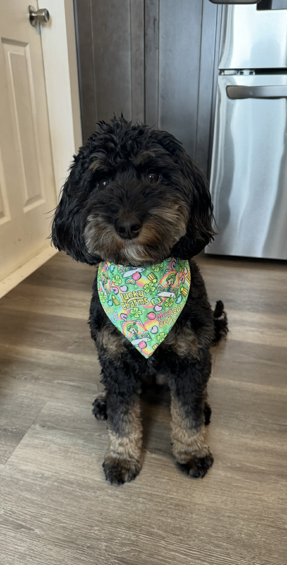 Lucky charm Bandana