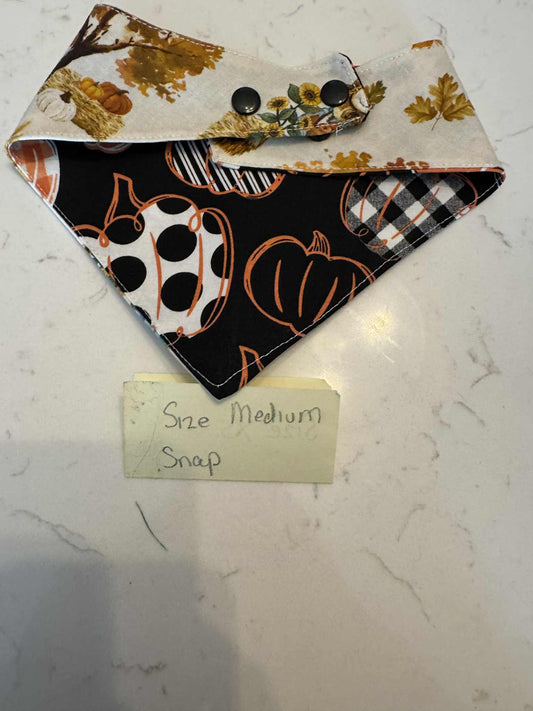 Scarecrow and Pumpkin with Snaps