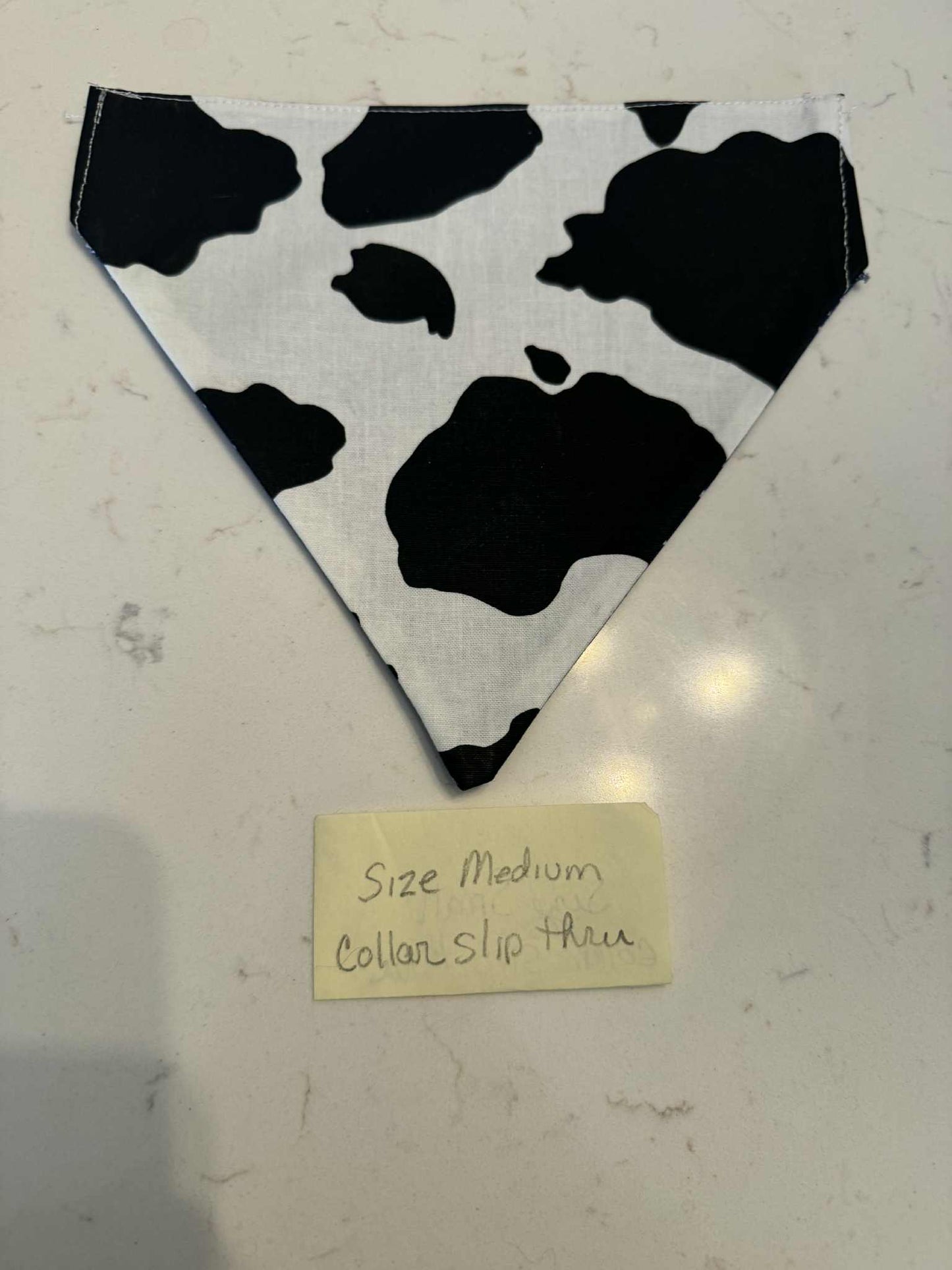 Cow and Navy star over the collar