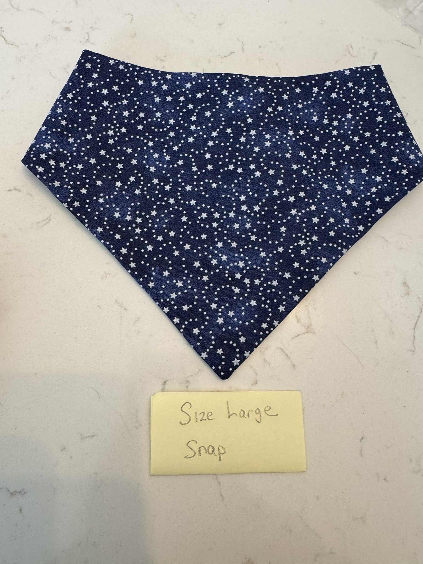 Football with Navy with Snaps
