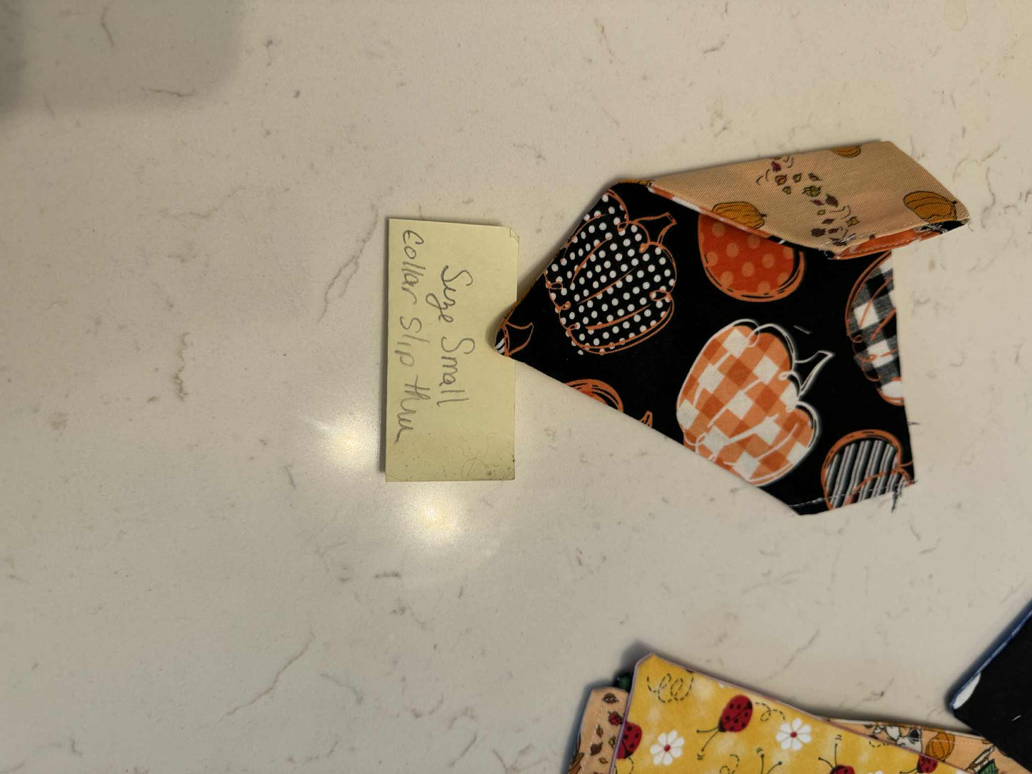 Charlie Brown and Plaid Pumpkin over the collar