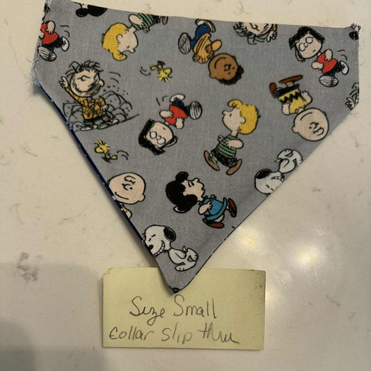 Charlie Brown and Navy Stars over the collar