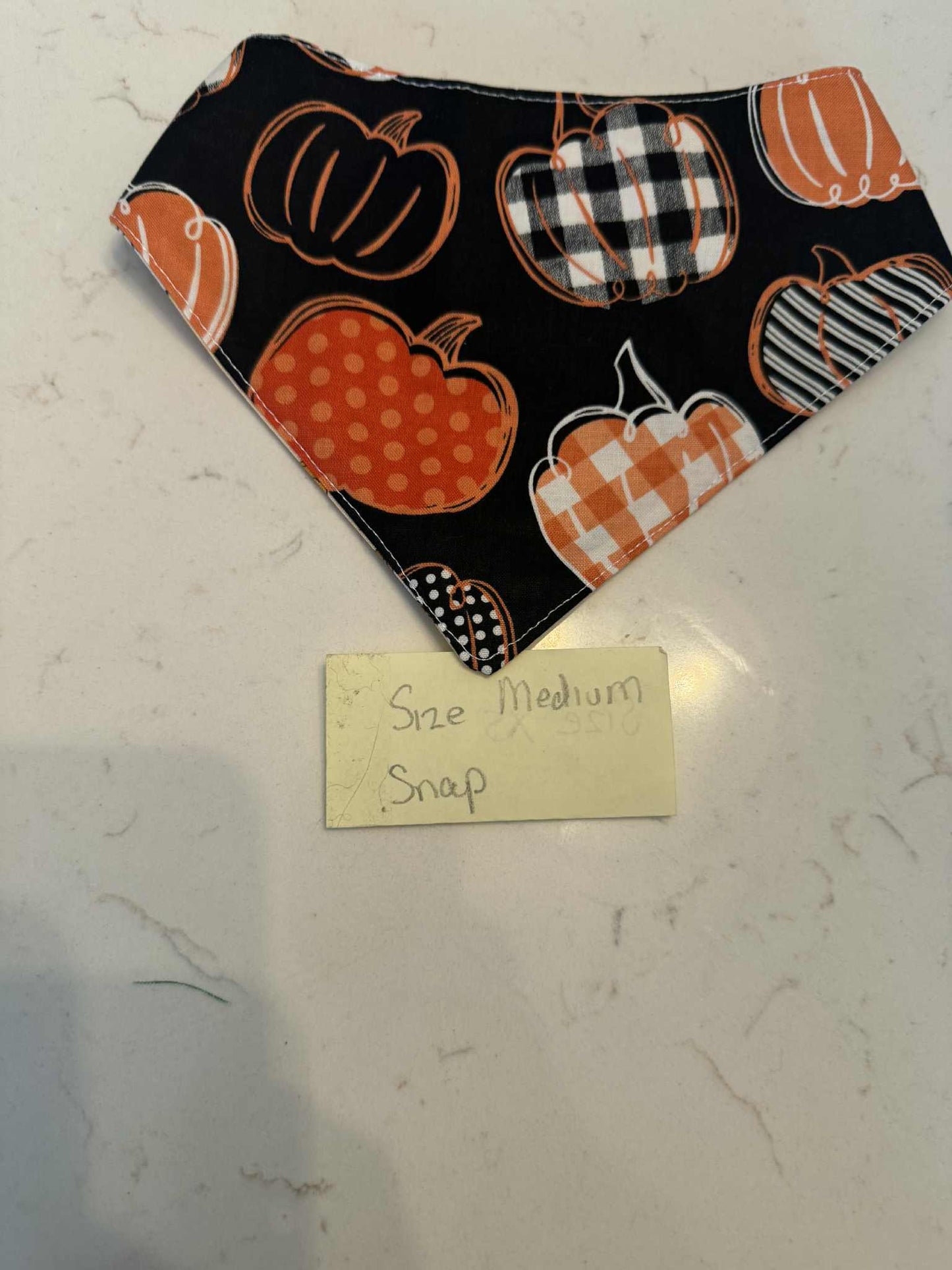 Pumpkin and Charlie Brown with Snaps