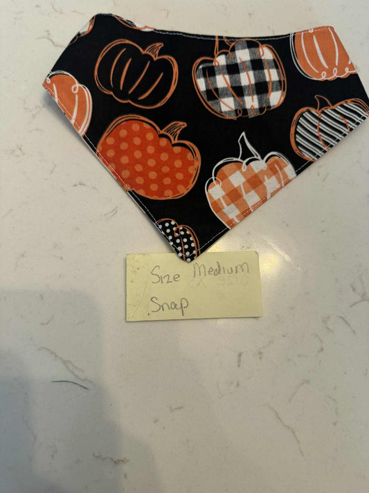 Pumpkin and Charlie Brown with Snaps