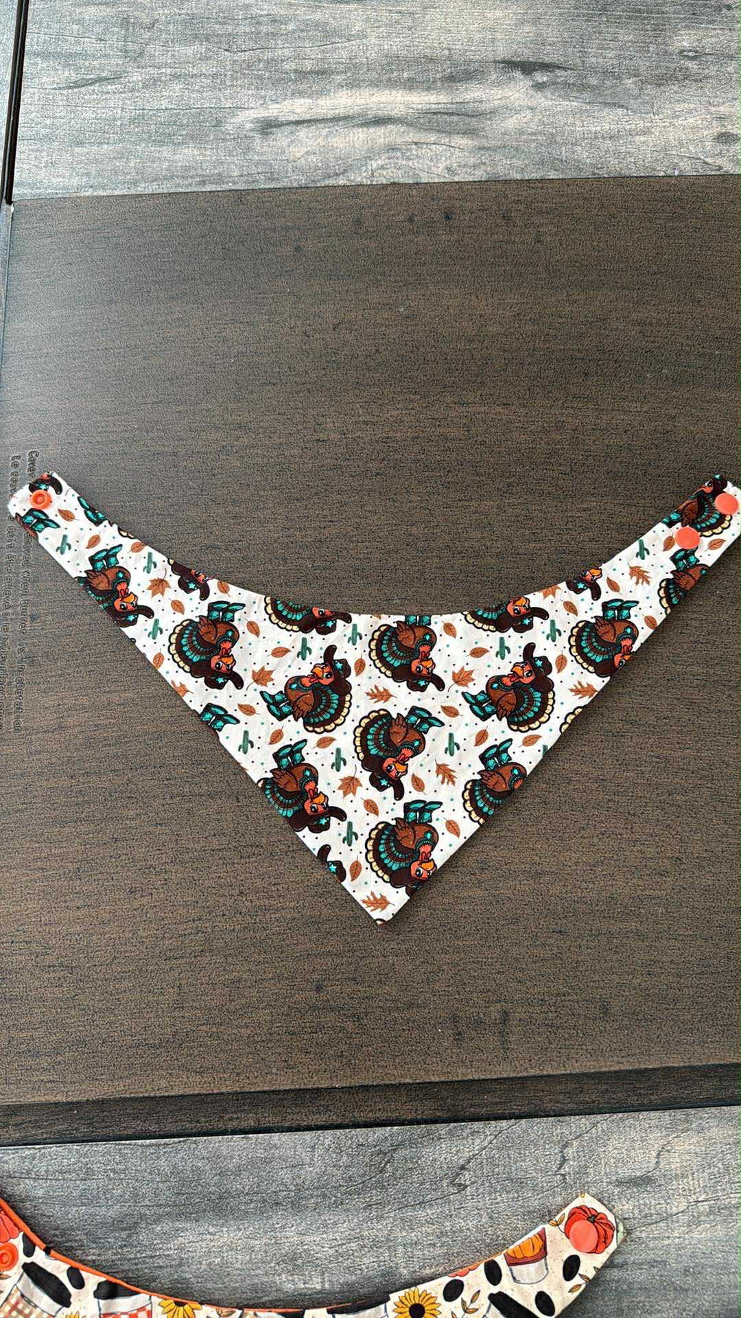 Turkey with  cowboy boots Snaps