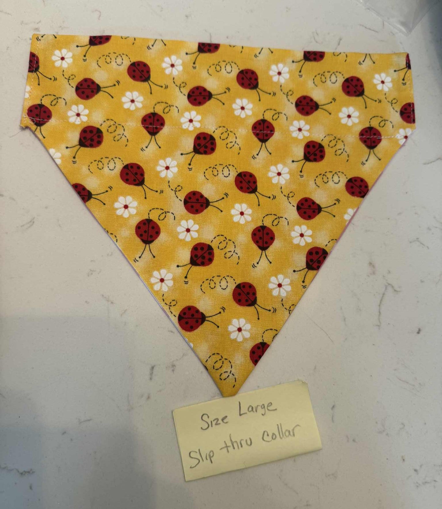 Pink checkered and Ladybug the collar
