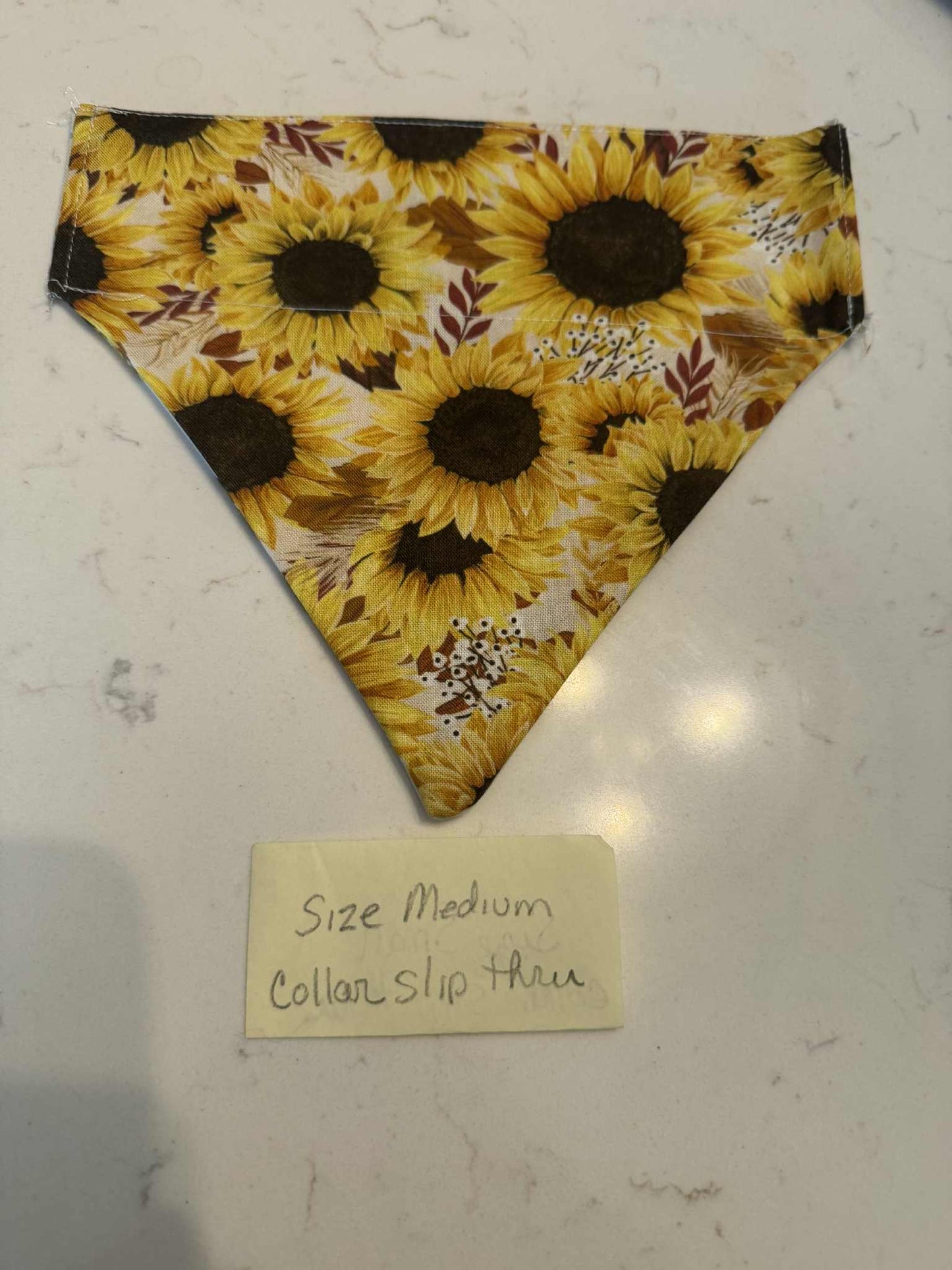 Scarecrow and Sunflower over the collar