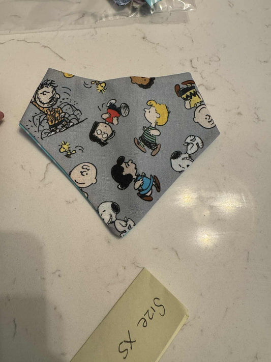 Charlie Brown and Blue Stars with Snaps