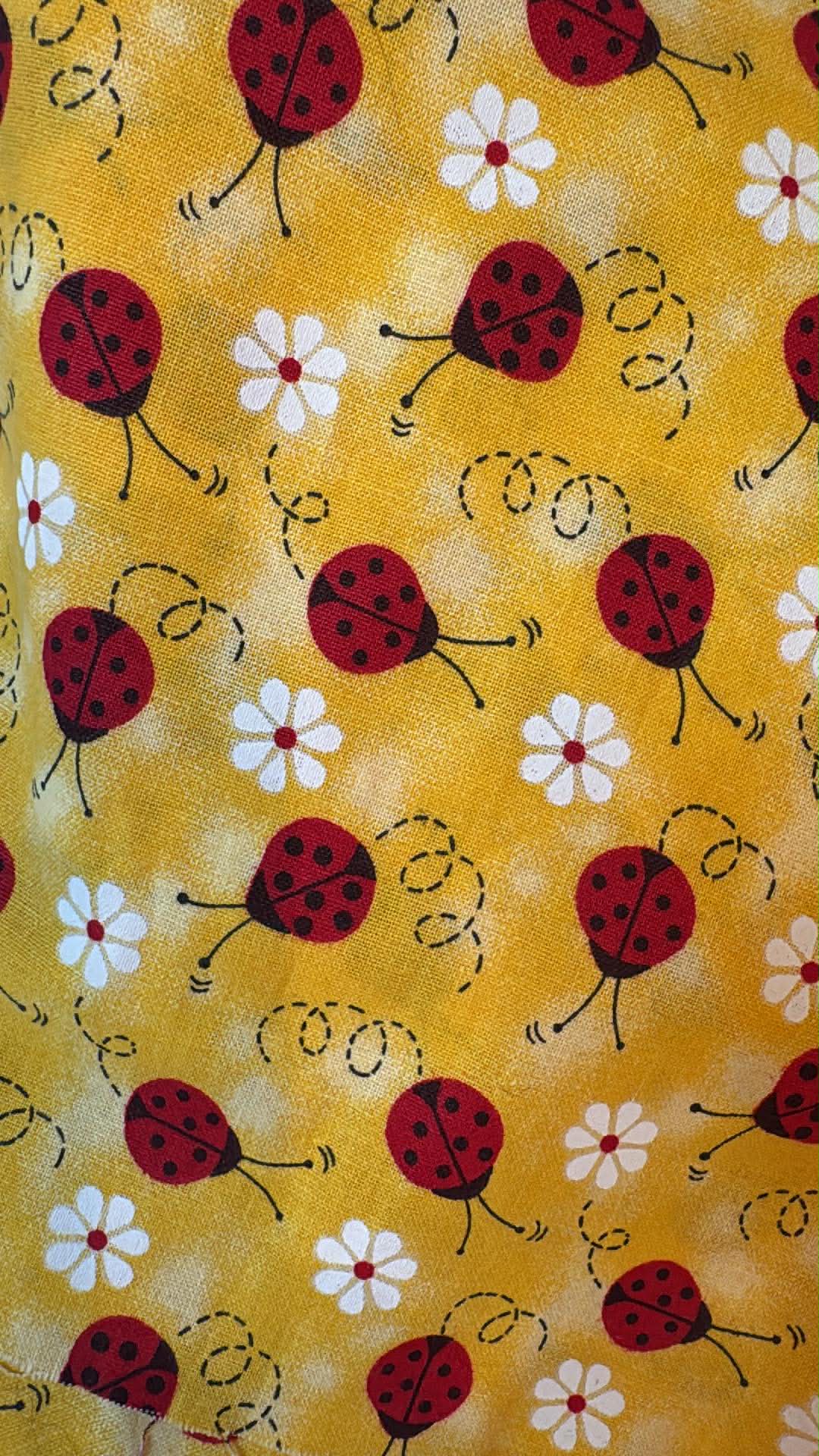 Lady Bug Bandana
