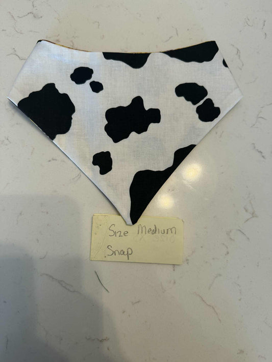 Cow and Sunflowers with Snaps