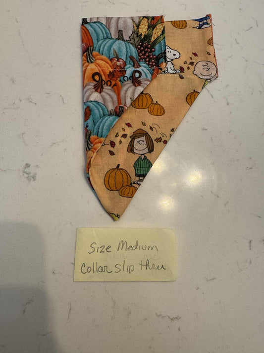 Charlie Brown and Pumpkin over the collar
