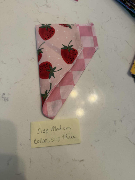 Pink checkered and  Strawberry over the collar